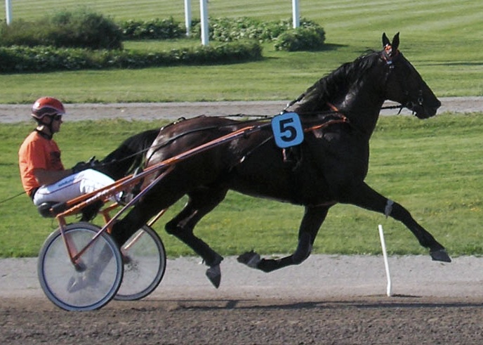 Västerbo Today
